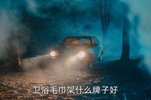 衛(wèi)浴毛巾架什么牌子好