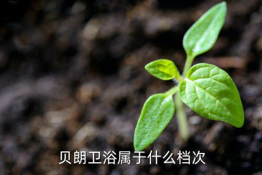  貝朗衛(wèi)浴屬于什么檔次
