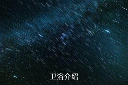 衛(wèi)浴介紹