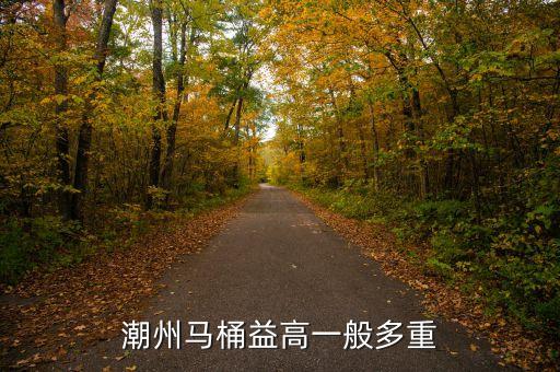 潮州馬桶益高一般多重
