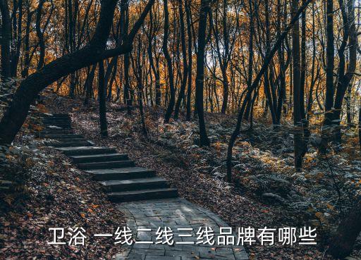  衛(wèi)浴 一線二線三線品牌有哪些
