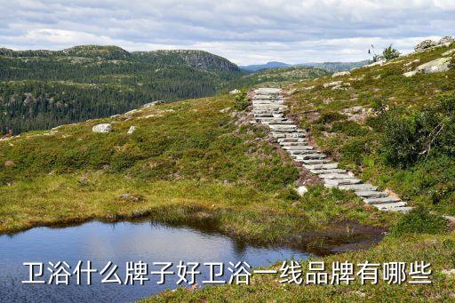 中陶衛(wèi)浴是什么檔次,衛(wèi)浴十大品牌推介（四）