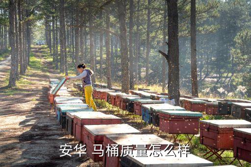安華 馬桶質(zhì)量怎么樣