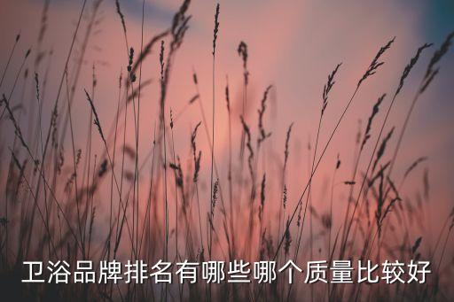 雪雨衛(wèi)浴坐便,衛(wèi)生間品牌排名:美標衛(wèi)浴、科勒衛(wèi)浴