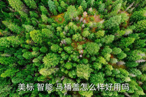  美標 智能 馬桶蓋怎么樣好用嗎