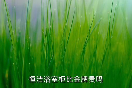 恒潔浴室柜比金牌貴嗎