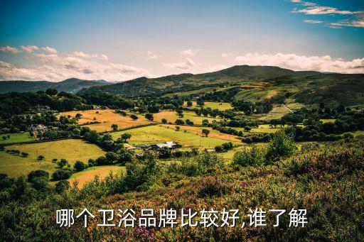 廣東鷹衛(wèi)浴,我知道的衛(wèi)浴品牌中，鷹衛(wèi)浴是黑馬