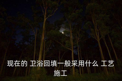 衛(wèi)浴產品工藝,衛(wèi)生間回填工藝多種選購方式