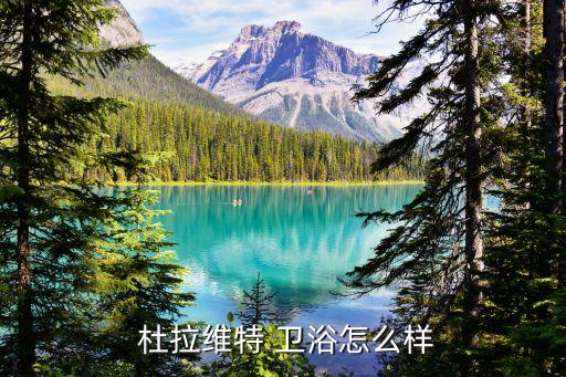 杜拉格斯衛(wèi)浴價格,五金陶瓷好不好?網(wǎng)上比較就知道了