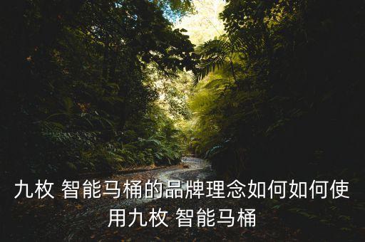 九枚 智能馬桶的品牌理念如何如何使用九枚 智能馬桶