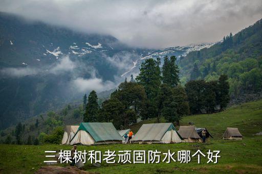  三棵樹和老頑固防水哪個好