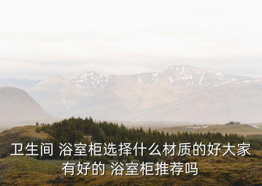 衛(wèi)生間 浴室柜選擇什么材質(zhì)的好大家有好的 浴室柜推薦嗎