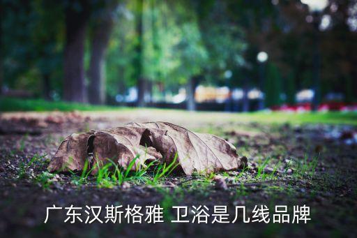 廣東漢斯格雅 衛(wèi)浴是幾線品牌