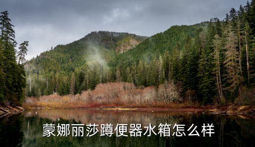  蒙娜麗莎蹲便器水箱怎么樣