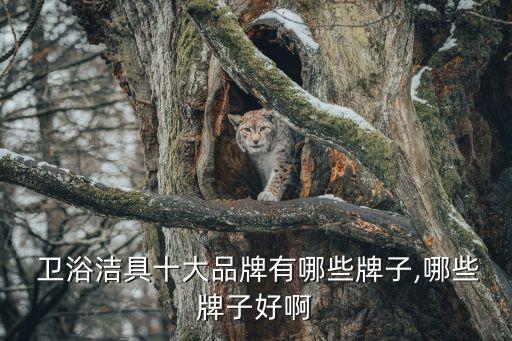 整體衛(wèi)浴排名,唯一品牌衛(wèi)浴整體一次性成型節(jié)省面積