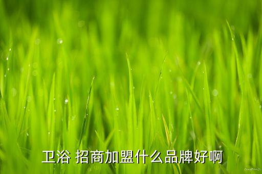 衛(wèi)浴招商范本,如何選擇衛(wèi)浴加盟?這些新經(jīng)銷商做的不錯