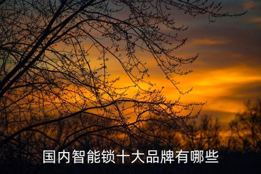 國(guó)內(nèi)智能鎖十大品牌有哪些