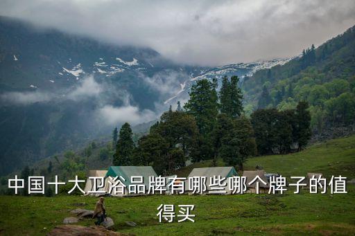 中國十大衛(wèi)浴品牌有哪些哪個(gè)牌子的值得買