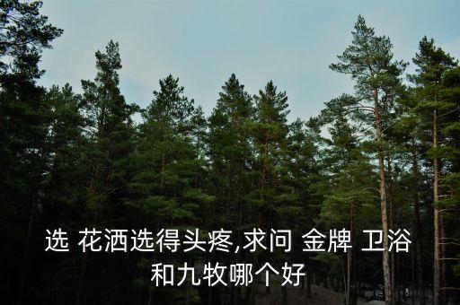 金牌衛(wèi)浴花灑種類,我家衛(wèi)生間常用花灑老板:銅水灑比較好