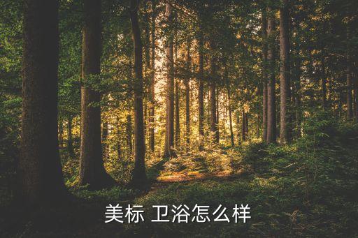 美標(biāo) 衛(wèi)浴怎么樣