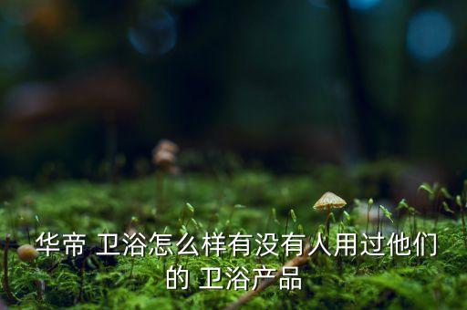 華帝衛(wèi)浴跟九,華帝水槽快遞到大慶網民:好滿意的水槽