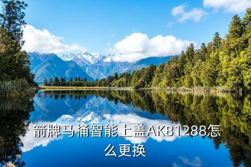 箭牌衛(wèi)浴水箱配件,馬桶漏水問題四個問題待解決