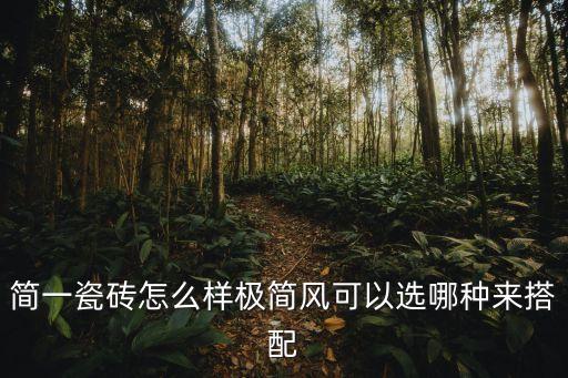 簡(jiǎn)一瓷磚怎么樣極簡(jiǎn)風(fēng)可以選哪種來搭配