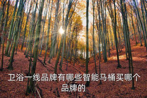  衛(wèi)浴一線品牌有哪些智能馬桶買哪個(gè)品牌的
