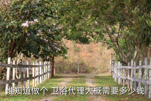 誰知道做個(gè) 衛(wèi)浴代理大概需要多少錢