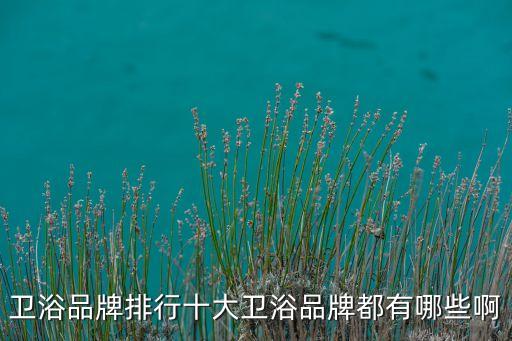 中宇衛(wèi)浴總部在哪里,中國十大衛(wèi)浴品牌排名出爐