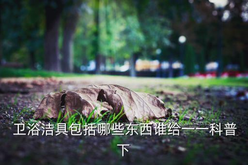  衛(wèi)浴潔具包括哪些東西誰給一一科普下