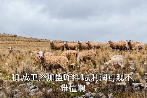 和成衛(wèi)浴,加盟和成衛(wèi)浴前做市場調(diào)查發(fā)現(xiàn)兩款產(chǎn)品比較靠譜