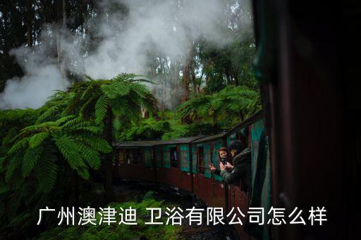  廣州澳津迪 衛(wèi)浴有限公司怎么樣