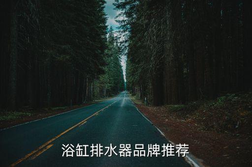 浴缸排水器品牌推薦