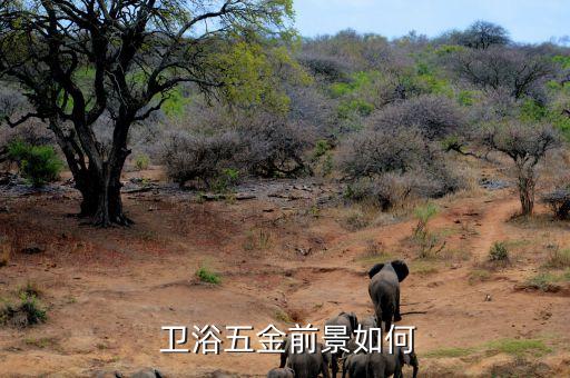 衛(wèi)浴市場(chǎng)有多大,衛(wèi)生五金件市場(chǎng)熱銷顏色也占主流