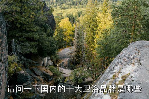佛山美客美衛(wèi)浴,選擇浴缸時注意什么品牌最好?董鵬衛(wèi)浴不錯
