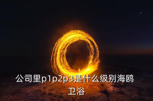 衛(wèi)浴等級(jí),衛(wèi)生間長(zhǎng)期處于潮濕環(huán)境衛(wèi)生產(chǎn)品質(zhì)量須過(guò)關(guān)