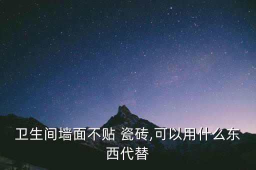 衛(wèi)生間墻面不貼 瓷磚,可以用什么東西代替