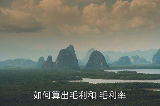 如何算出毛利和 毛利率