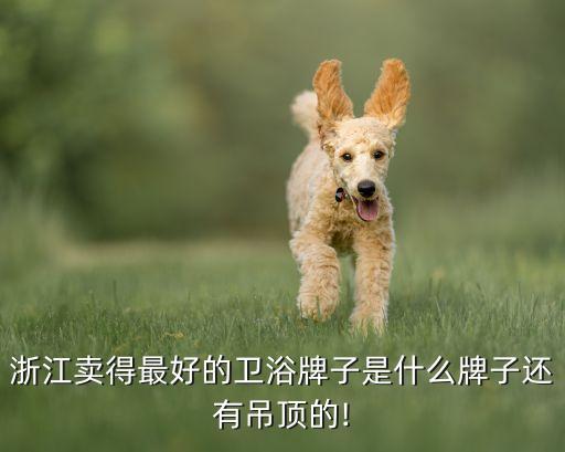 浙江賣得最好的衛(wèi)浴牌子是什么牌子還有吊頂?shù)?