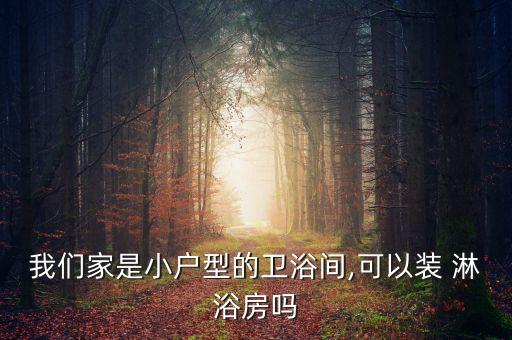 我們家是小戶型的衛(wèi)浴間,可以裝 淋浴房嗎