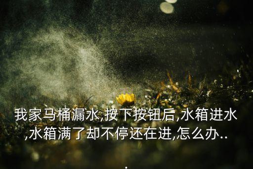 唯一衛(wèi)浴坐便器,安裝座圈便器注意事項(xiàng)