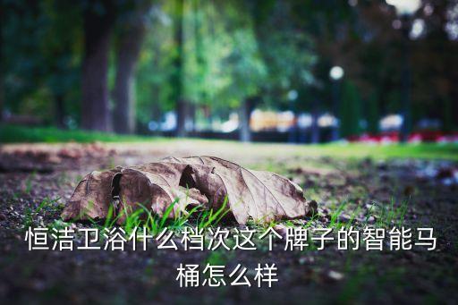  恒潔衛(wèi)浴什么檔次這個(gè)牌子的智能馬桶怎么樣
