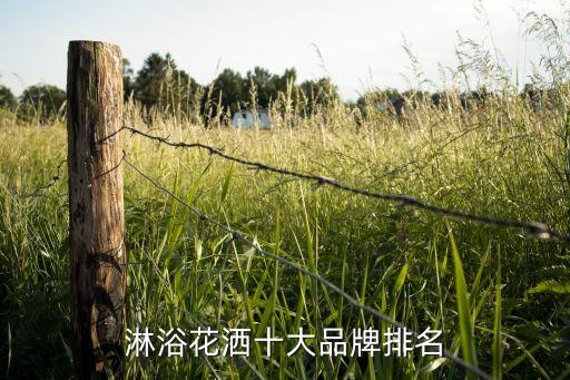 中宇衛(wèi)浴新聞,十大淋浴花灑品牌:輝煌浴室花灑入選