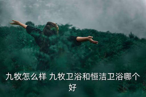 九牧怎么樣 九牧衛(wèi)浴和恒潔衛(wèi)浴哪個(gè)好