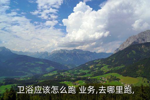 衛(wèi)浴有什么業(yè)務(wù),關(guān)于衛(wèi)生行業(yè)你必須知道的事兒