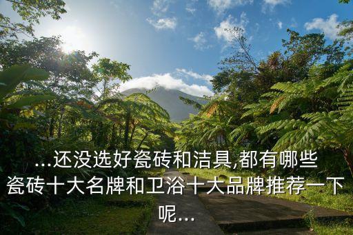 鉆石牌衛(wèi)浴潔具如何,蘇泊爾電動(dòng)水龍頭質(zhì)量好安裝方便快捷省時(shí)