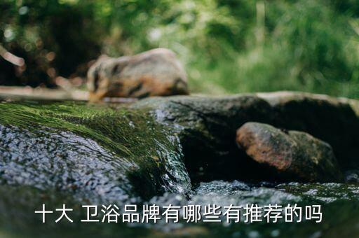 十大 衛(wèi)浴品牌有哪些有推薦的嗎
