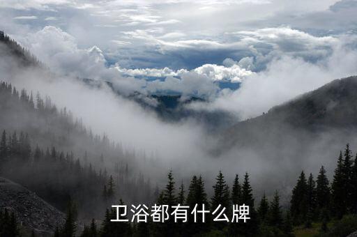 重慶金牌衛(wèi)浴,衛(wèi)浴十大品牌排名出爐