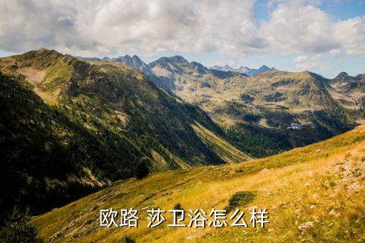  歐路 莎衛(wèi)浴怎么樣
